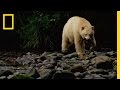 Spirit Bear Fishing Skills and Goals
