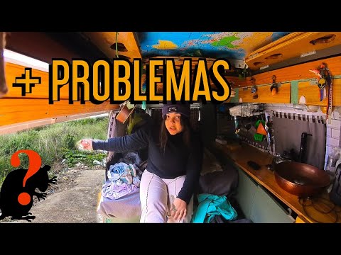 UM BICHO ENTROU DENTRO DA KOMBI E COMEU OS FIOS DO MOTOR Ep.114