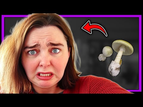 This Insane Woman Killed Her Family With Mushrooms
