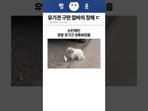 유기견 구한 알바의 정체 ㄷㄷ