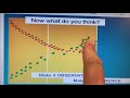 Observations and Inferences in Science