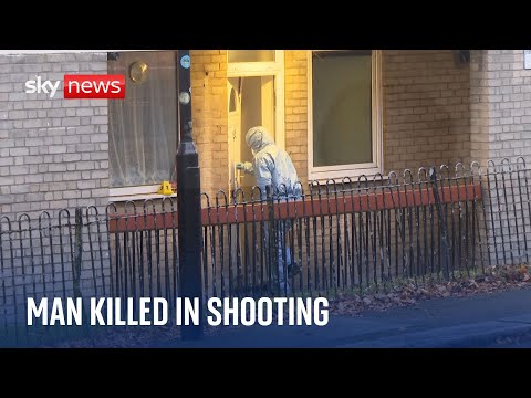 BREAKING: Manhunt after one killed and two injured in Sydenham shooting