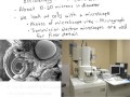 Cell Structure and Function Concepts