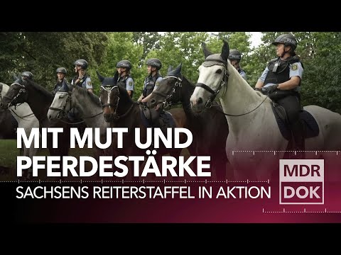 Sattelfest - die Reiterstaffel der Polizei Sachsen im Einsatz | Entdecke den Osten | MDR DOK