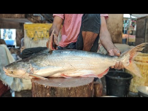 Fish Cutting Skills || Amazing Huge Sea Pangas Fish Cutting By Expert Fish Cutter ||