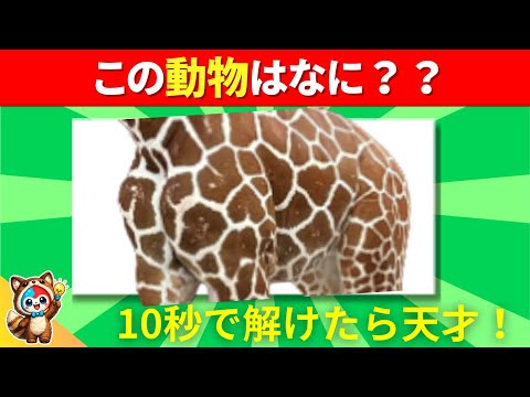 動物の柄（がら）あてクイズ｜この柄はだ〜れだ？【35問】