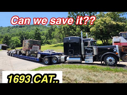 We Scored Big Time!! Saving Another Cabover From Its Grave..