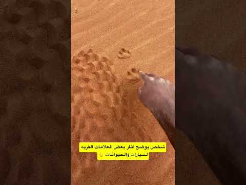 اثار بعض العلامات للسيارات والحيوانات