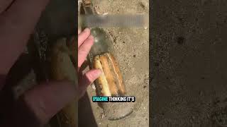Hotdog Treasure