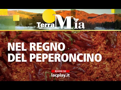 Nel regno del peperoncino - Terra Mia