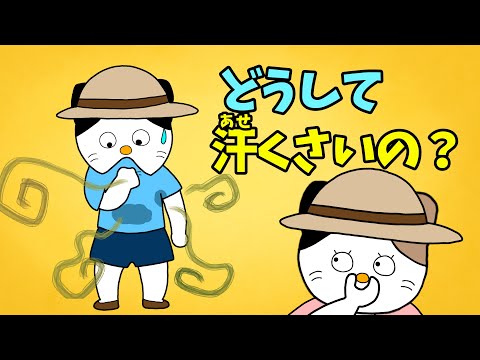 【アニメ 絵本読み聞かせ】においのウラに隠れたひみつ〜どうして汗臭いの？〜