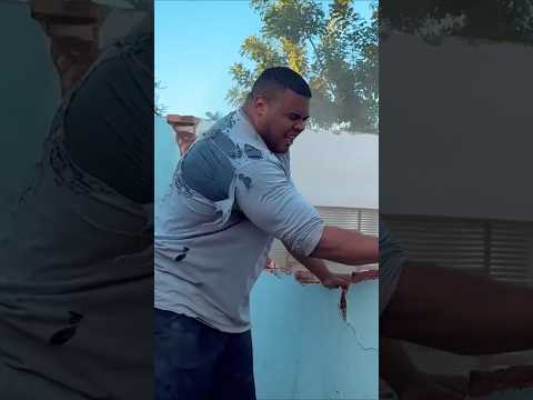 BITELO DERRUBOU A CASA NO TAPA! #bitelo #construção #obra