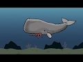 Marine Vertebrates and Carbon Cycle