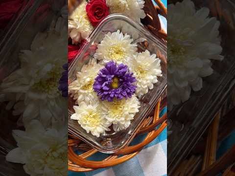 ✨Water Floating Flower Rangoli Ideas for Diwali Easy Diwali Decoration at Home ✨#diy #shorts #fypシ