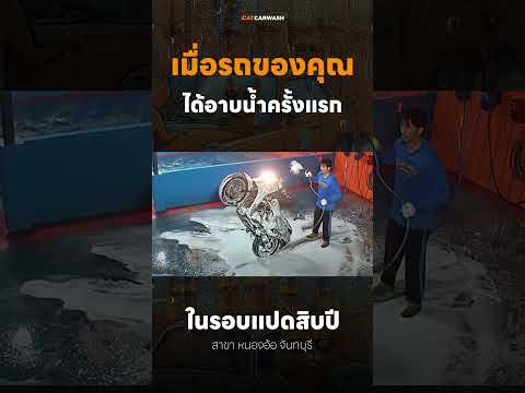 ล้างรถในรอบปี #catcarwash #หนึ่งวันพันกว่าเรื่อง