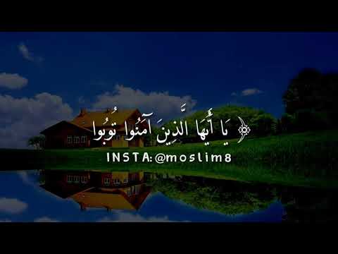 فيديو 238 من  القرآن الكريم