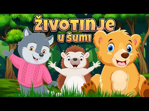 Životinje u šumi MIX 🦊 Pesmice o životinjama 🦝 Eci Peci Pec pesmice 🦁 Zvukovi životinja 🐱 MIX