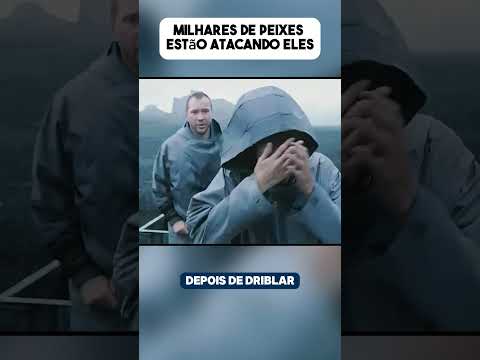 Eles estão sendo atacados por esses Peixes