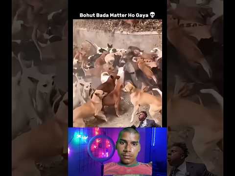 #funny #comedy #lion #love #🤣🤣🤣