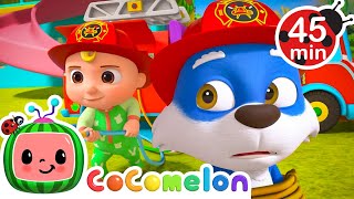 Wally Needs Rescuing! Firefighter Training Time! 🧯| Cocomelon Animal Time - Nursery Rhymes