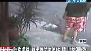 助狗虐貓 雙犬撕咬流浪貓 婦人持棍助殺