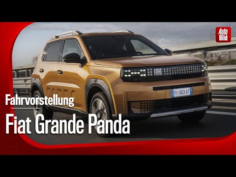 Erster Eindruck des Fiat Grande Panda Elektro mit Rolf Klein