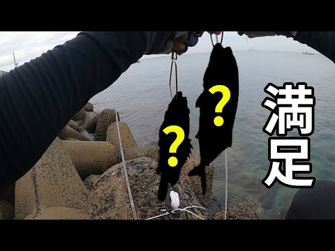 【釣り動画】ライトショアジギング好調！【CAG釣り部】