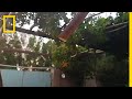 音楽ビデオクイズ
