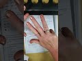 Area, Division, and Estimation Problems