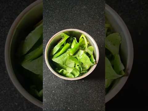 How To Make Soft Palak Paratha | kid's special healthy paratha #shorts