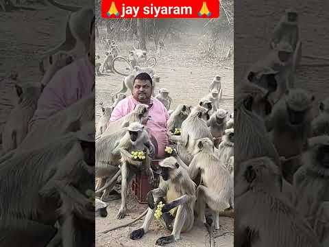 🙏 jay siyaram 🙏 ll Swapnil soni(Animal lover) ll