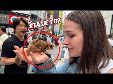 ŽENA MI KUPILA_______? U 🇯🇵 #6 🍯🌙