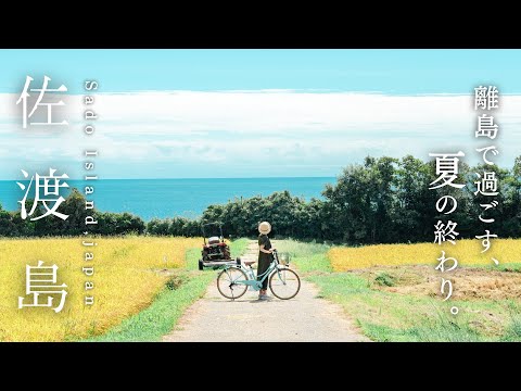 懐かしくて泣きそうになる、夏の佐渡島を旅する🌾｜新潟｜世界遺産