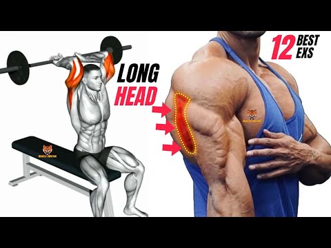 12 BEST LONG HEAD TRICEPS WORKOUT AT GYM