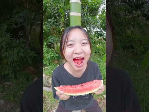 Trận chiến dưa hấu to và nhỏ - Noob vs pro vs hacker watermelon battle #shorts
