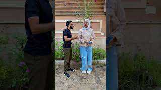 الكف السحري 