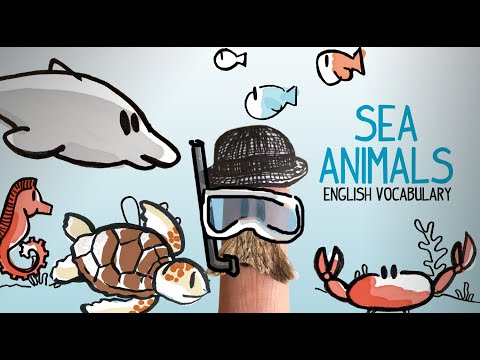 Sea animals in English, learn english vocabulary
