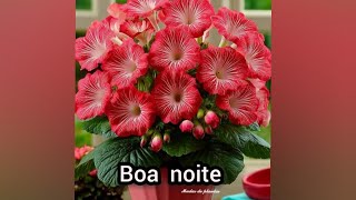 Mensagem de boa noite com carinho 😘