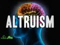 Understanding Altruism and Inclusive Fitness