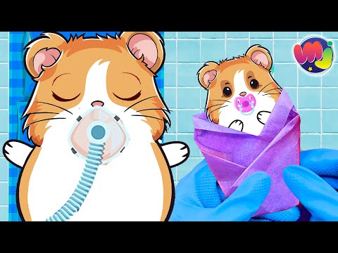 🐶 HAMSTER EMBARAZADA TIENE un BEBÉ en el HOSPITAL 🤰