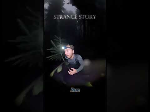 HELMET CAM TERROR: Hunted by a Wild Bear in a Dark Forest! 🐻⬛ #wildlife #funny