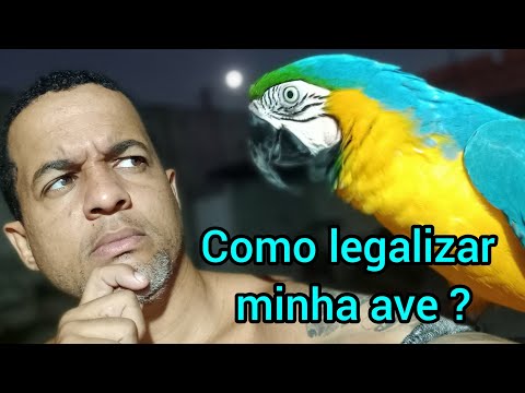 Como Ter uma Ave toda certinha no IBAMA ?