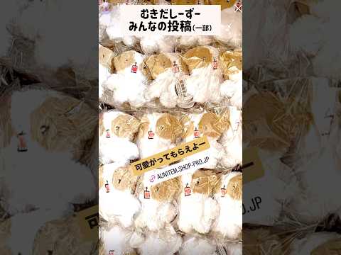 むきだしーずー！みんなの投稿（一部）