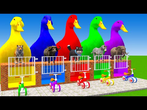 Long Slide Game With Elephant Gorilla Buffalo Hippopotamus Tiger - 3d Animal Game - Funny 3d Animals