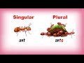 Exploring Singular and Plural Nouns