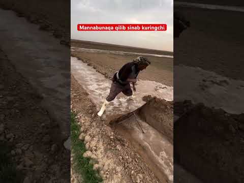Oxirigacha kuramiz 😂😂