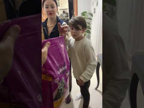 Eymenin Kedisi ile Başı Dertte 😹😱📺mp4