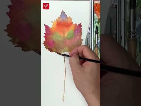 Simple maple leaf watercolor - Huang youwei #painting, #watercolor, #aquarelle