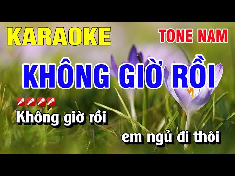 Karaoke Không Giờ Rồi Tone Nam Nhạc Sống | Nguyễn Linh