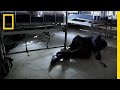 Ebola Outbreak in West Africa